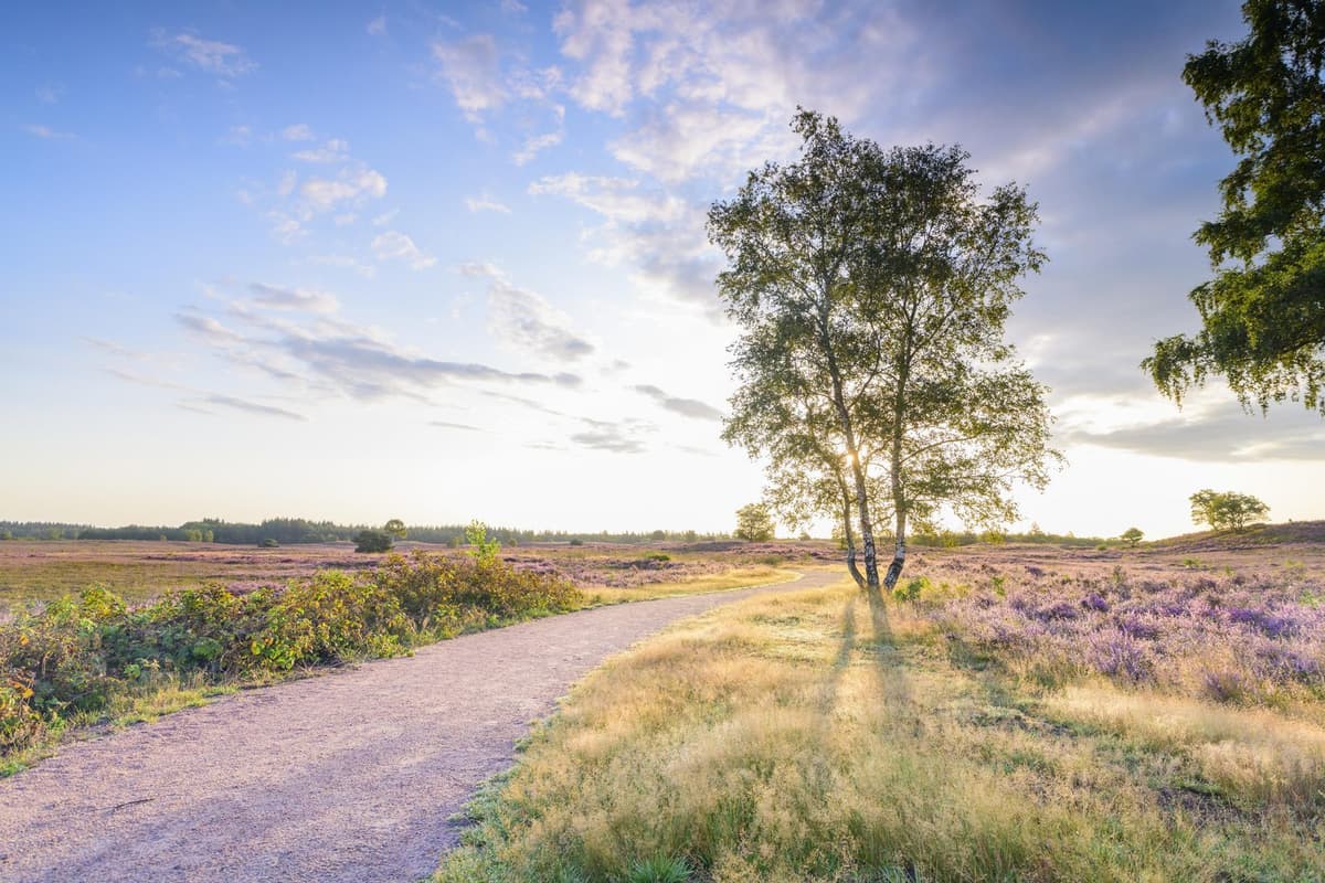 Huis ter Heide - recreatiewoning