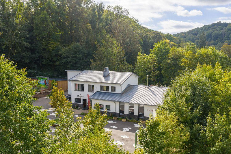 Vakantiewoning in de Ardennen kopen? Ontdek de mooiste plekken en handige tips